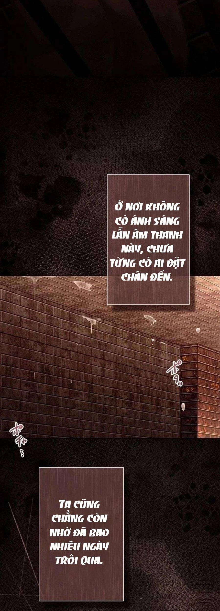 Chiêm Ngưỡng Nữ Phản Diện Hoàn Hảo Chapter 34 - 12