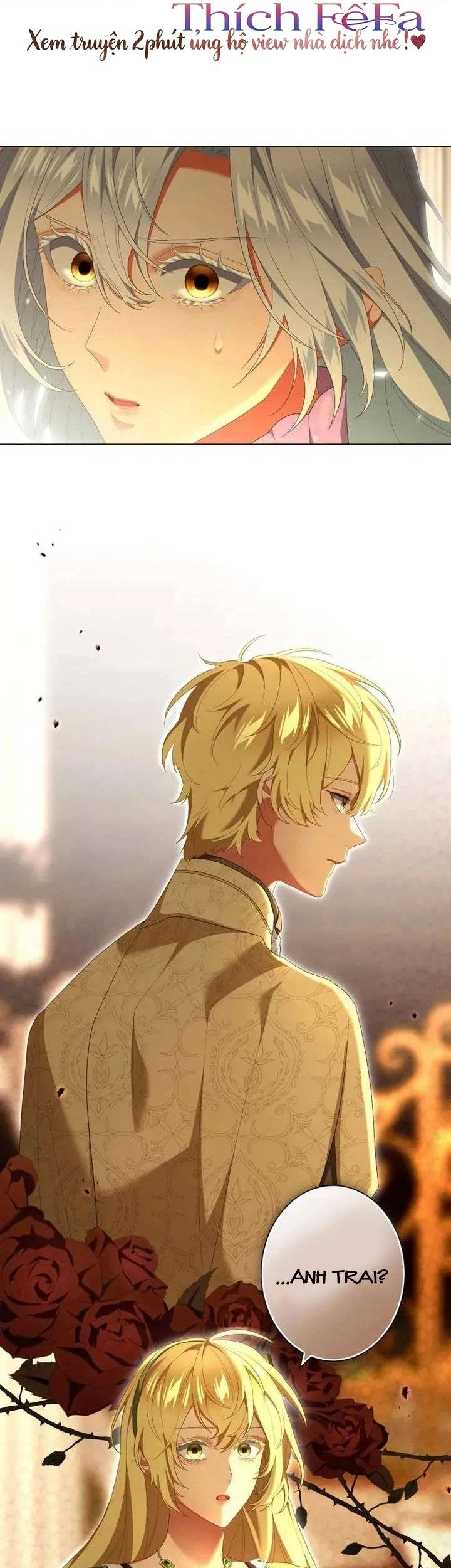 Chiêm Ngưỡng Nữ Phản Diện Hoàn Hảo Chapter 47 - 29