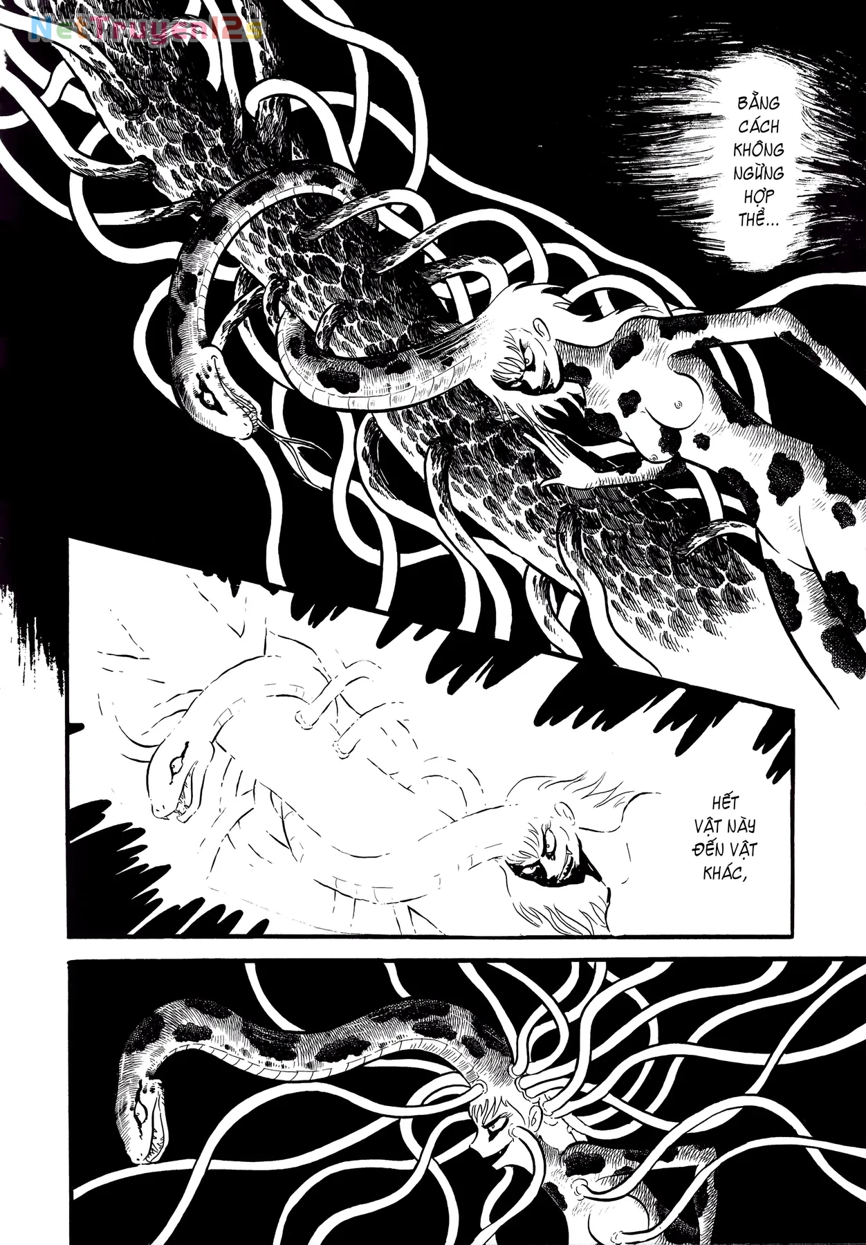 Devilman Chapter  5 - 11