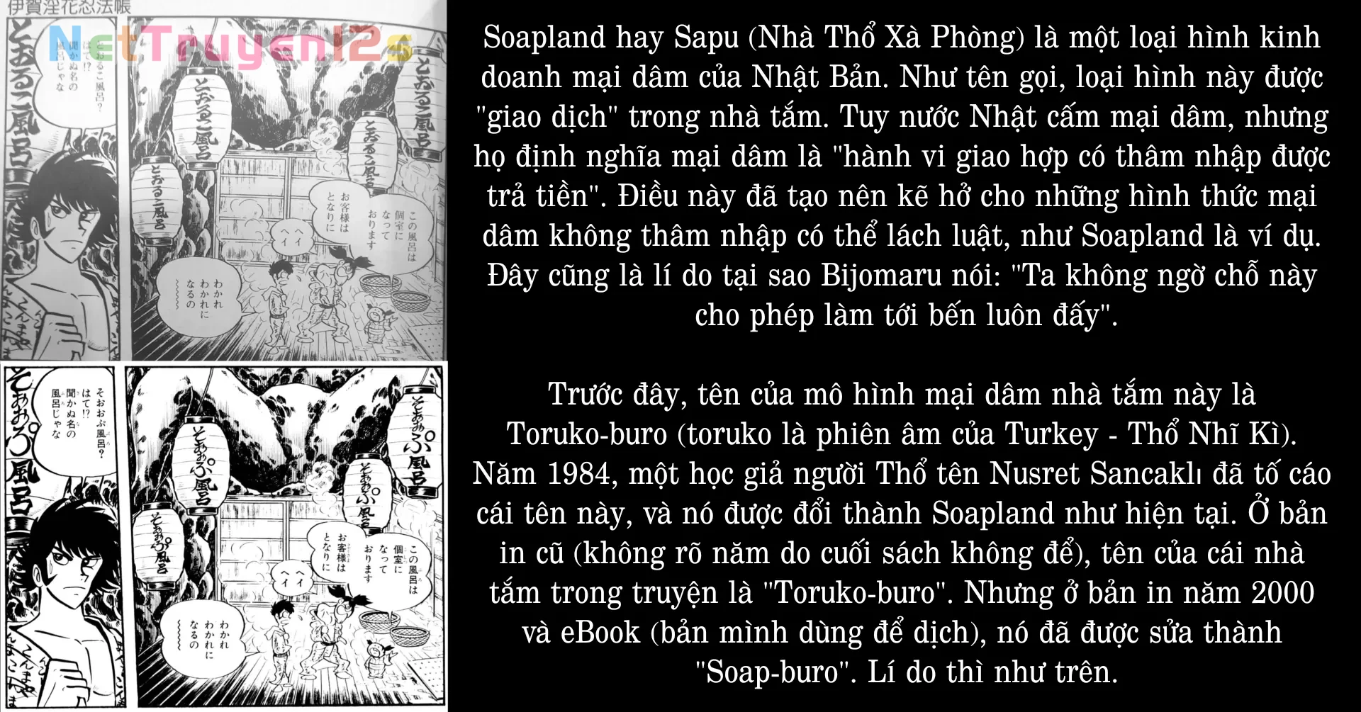Đại Cương Nhẫn Pháp Dâm Hoa Loạn Liễu Của Ninja Iga Chapter  2 - 27
