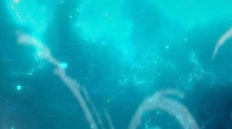 Ta, Người Chỉ Cần Nhìn Thấy Thanh Máu, Có Thể Trừng Phạt Thần Linh Chapter 99 - 124