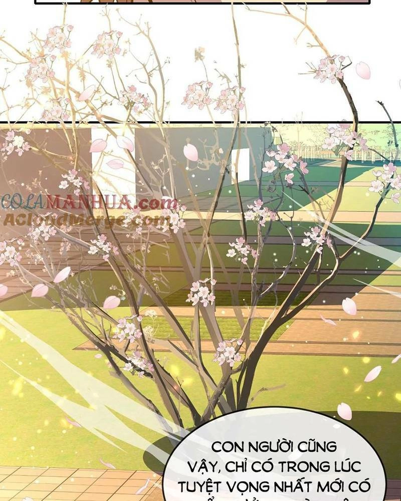 Ta, Người Chỉ Cần Nhìn Thấy Thanh Máu, Có Thể Trừng Phạt Thần Linh Chapter 127 - 37