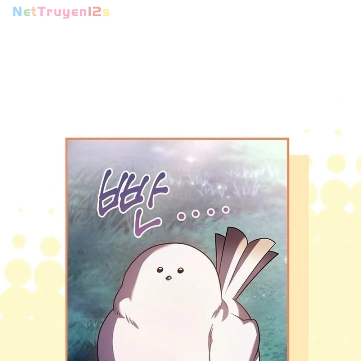 Mặc Kệ Kế Vị, Tôi Chỉ Muốn Chữa Lành Chapter 7 - 24