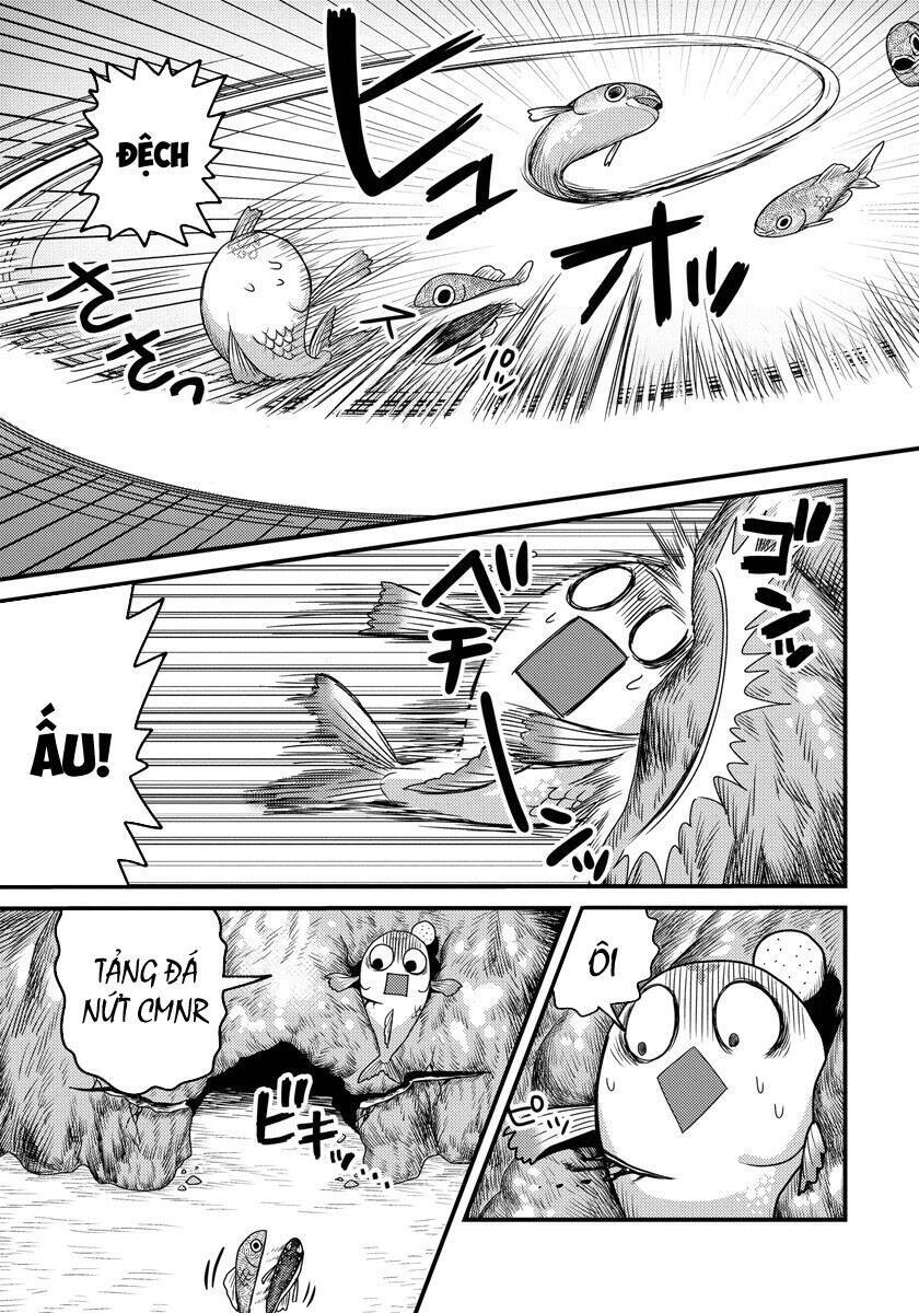 Chuyển Sinh Thành Cá, Tôi Sẽ Tiến Hóa Thành Rồng Ở Dị Giới Chapter 1.2 - 12