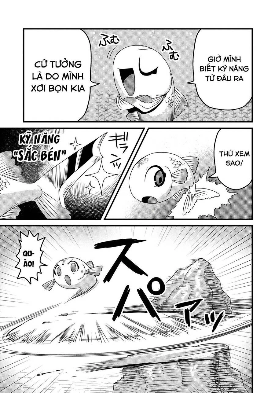 Chuyển Sinh Thành Cá, Tôi Sẽ Tiến Hóa Thành Rồng Ở Dị Giới Chapter 2.2 - 2