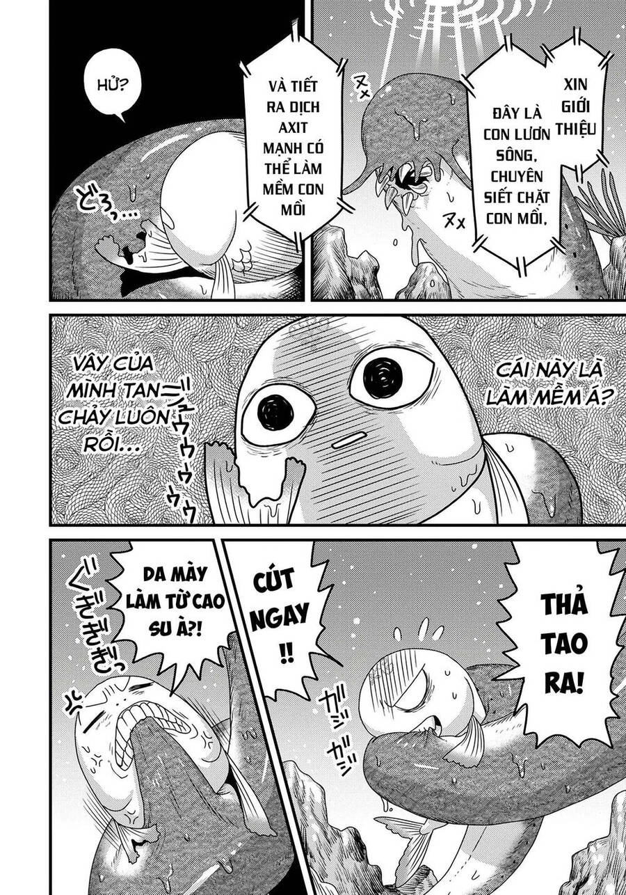 Chuyển Sinh Thành Cá, Tôi Sẽ Tiến Hóa Thành Rồng Ở Dị Giới Chapter 2.2 - 5