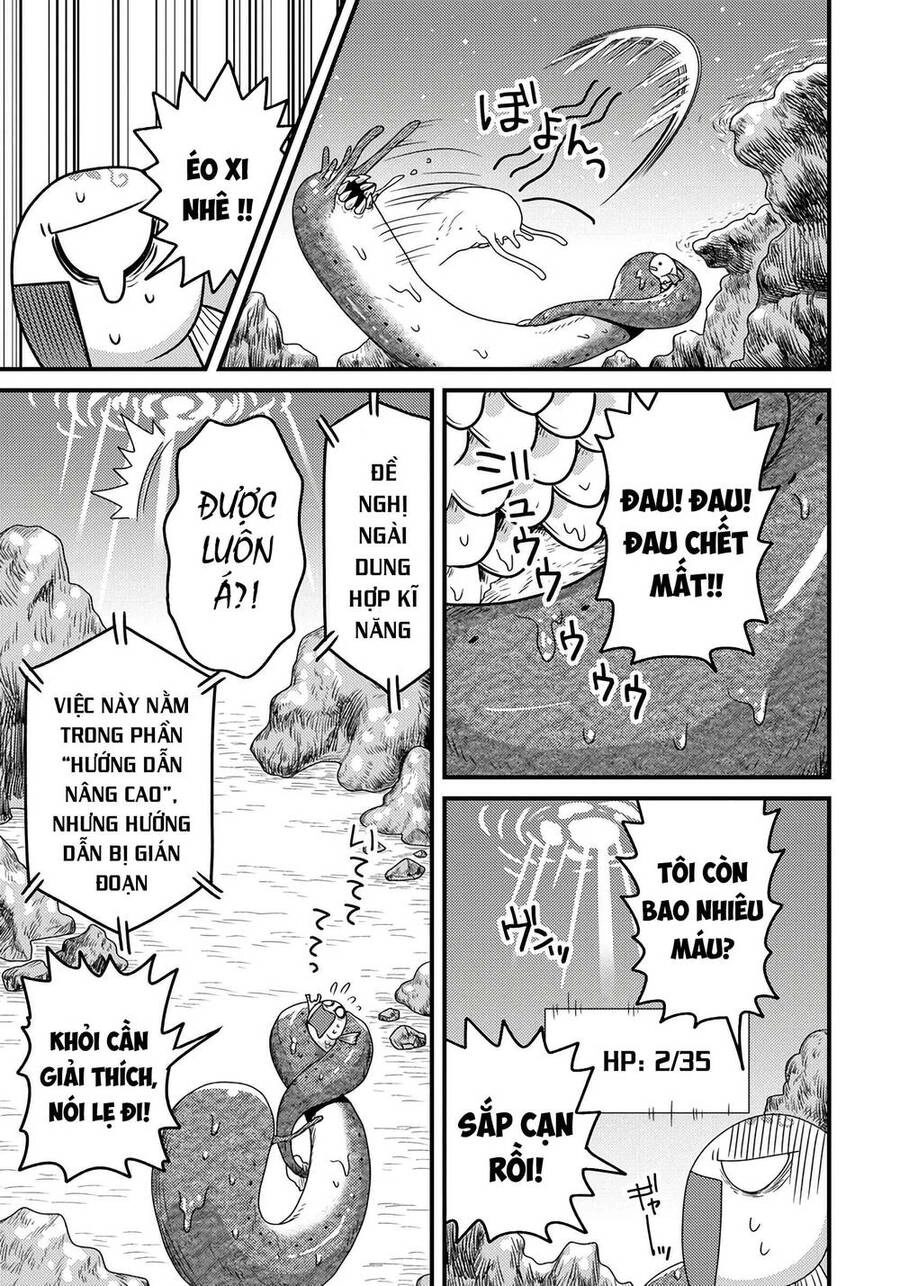 Chuyển Sinh Thành Cá, Tôi Sẽ Tiến Hóa Thành Rồng Ở Dị Giới Chapter 2.2 - 8