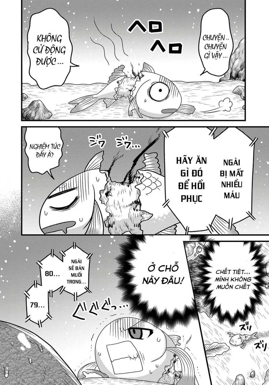 Chuyển Sinh Thành Cá, Tôi Sẽ Tiến Hóa Thành Rồng Ở Dị Giới Chapter 2.2 - 13