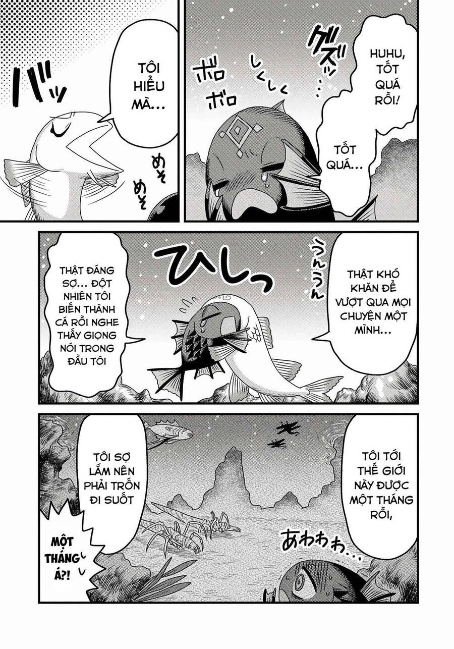 Chuyển Sinh Thành Cá, Tôi Sẽ Tiến Hóa Thành Rồng Ở Dị Giới Chapter 3.2 - 13