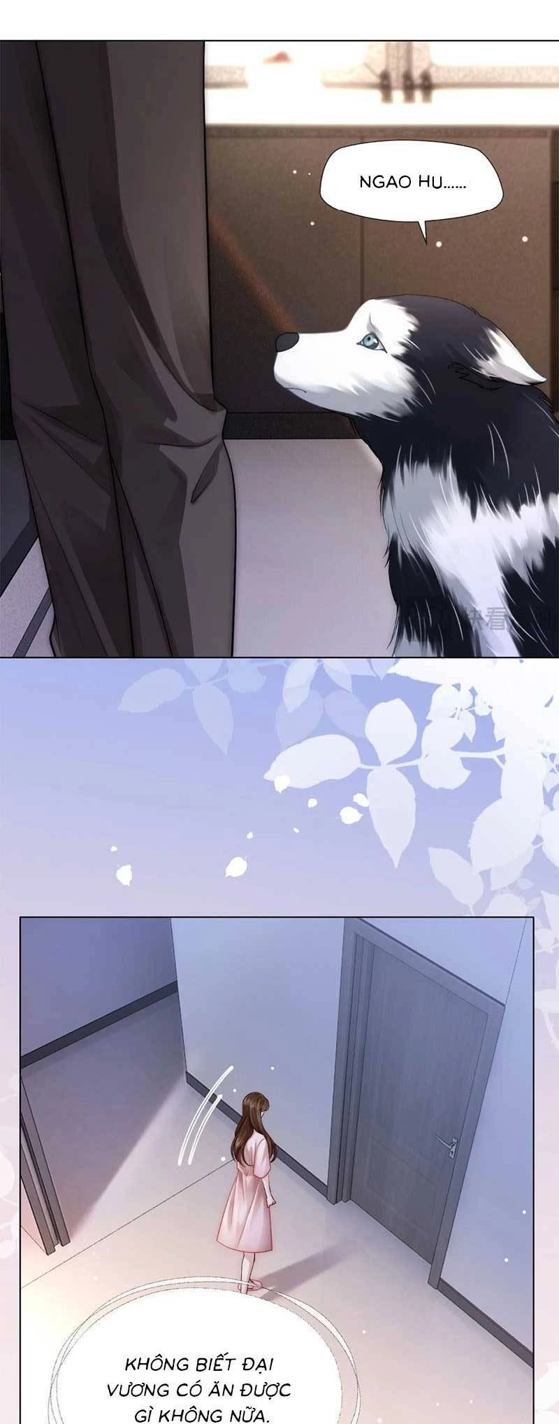 Yêu Lại Sau Một Đêm Bên Nhau Chapter 17 - 13