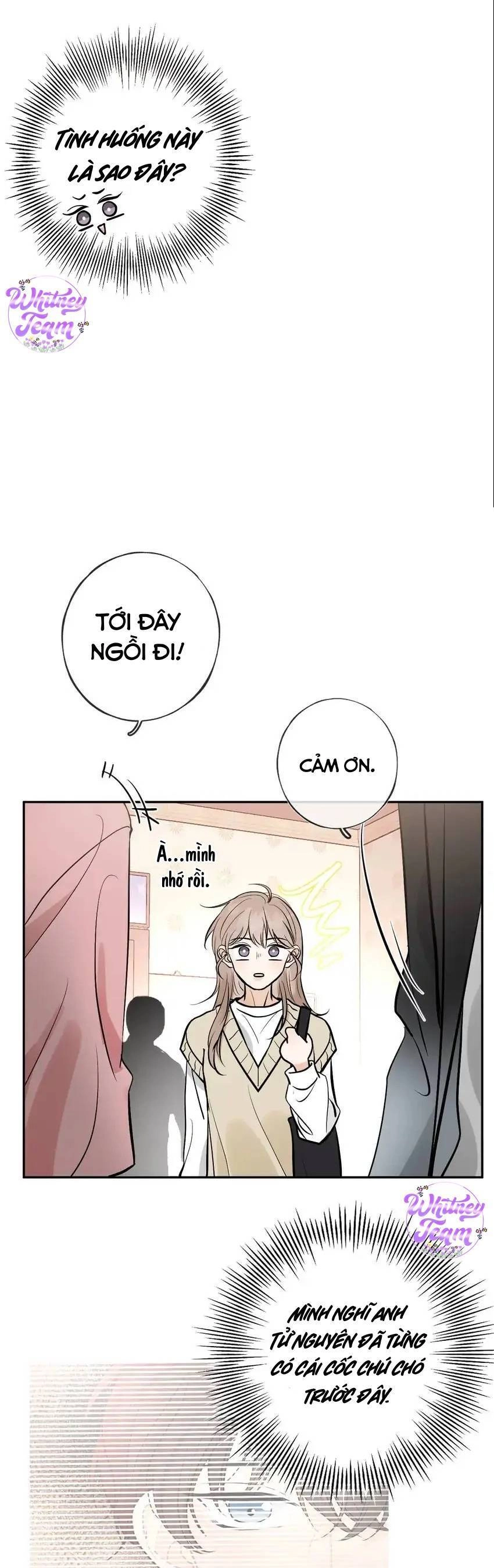 Những Ngày Thanh Xuân Của Tôi Chapter 9 - 17