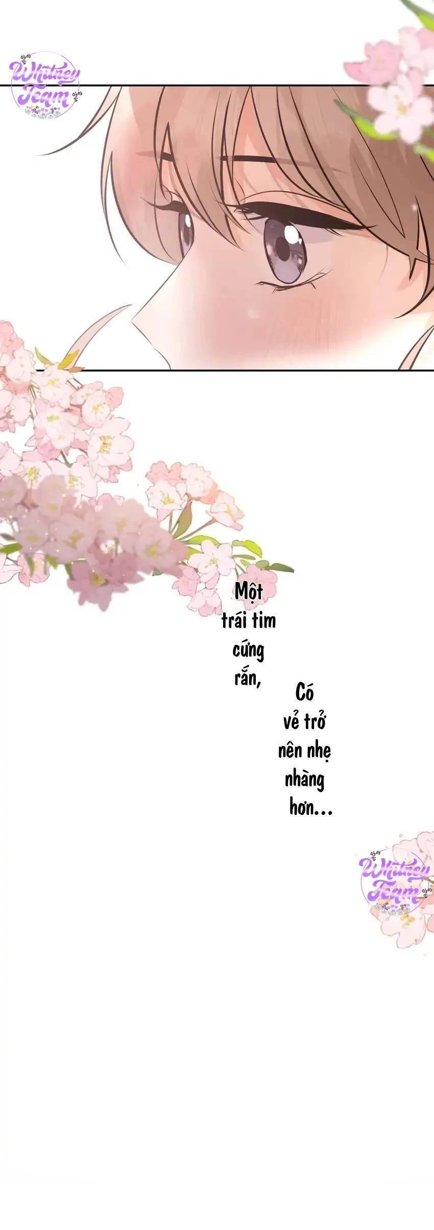 Những Ngày Thanh Xuân Của Tôi Chapter 9 - 37