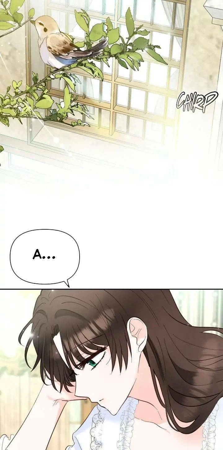 Two Names Of Night Chapter 5 - 23