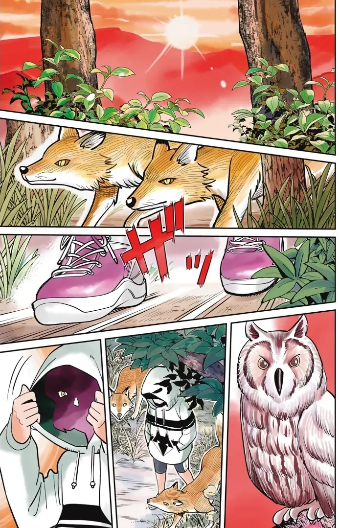 TIỆM ĐỒ NAI-NAI VÀ HỌA SỰ THƯ CỦA HÒA THƯỢNG TANUKI Chapter  1 - 2