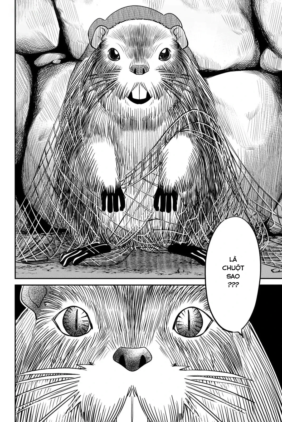 TIỆM ĐỒ NAI-NAI VÀ HỌA SỰ THƯ CỦA HÒA THƯỢNG TANUKI Chapter  8 - 8