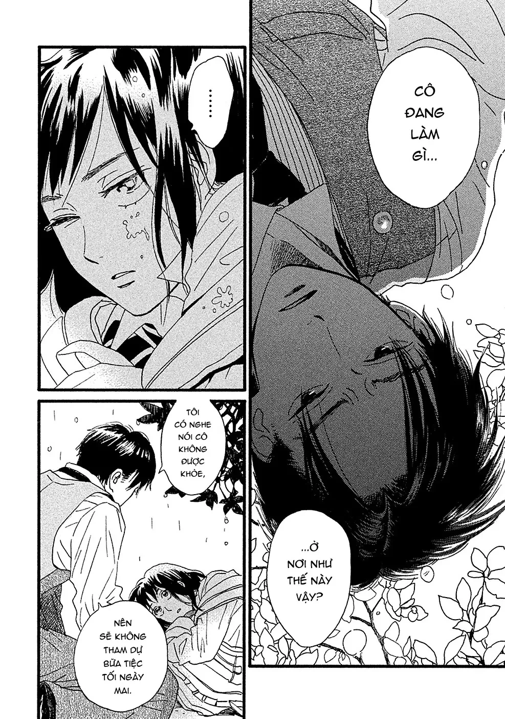 Lệ Vũ và Khúc Tình Ca Chapter  1 - 28
