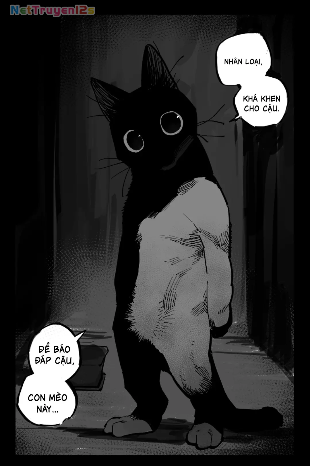 Người và Mèo Chapter  1 - 10