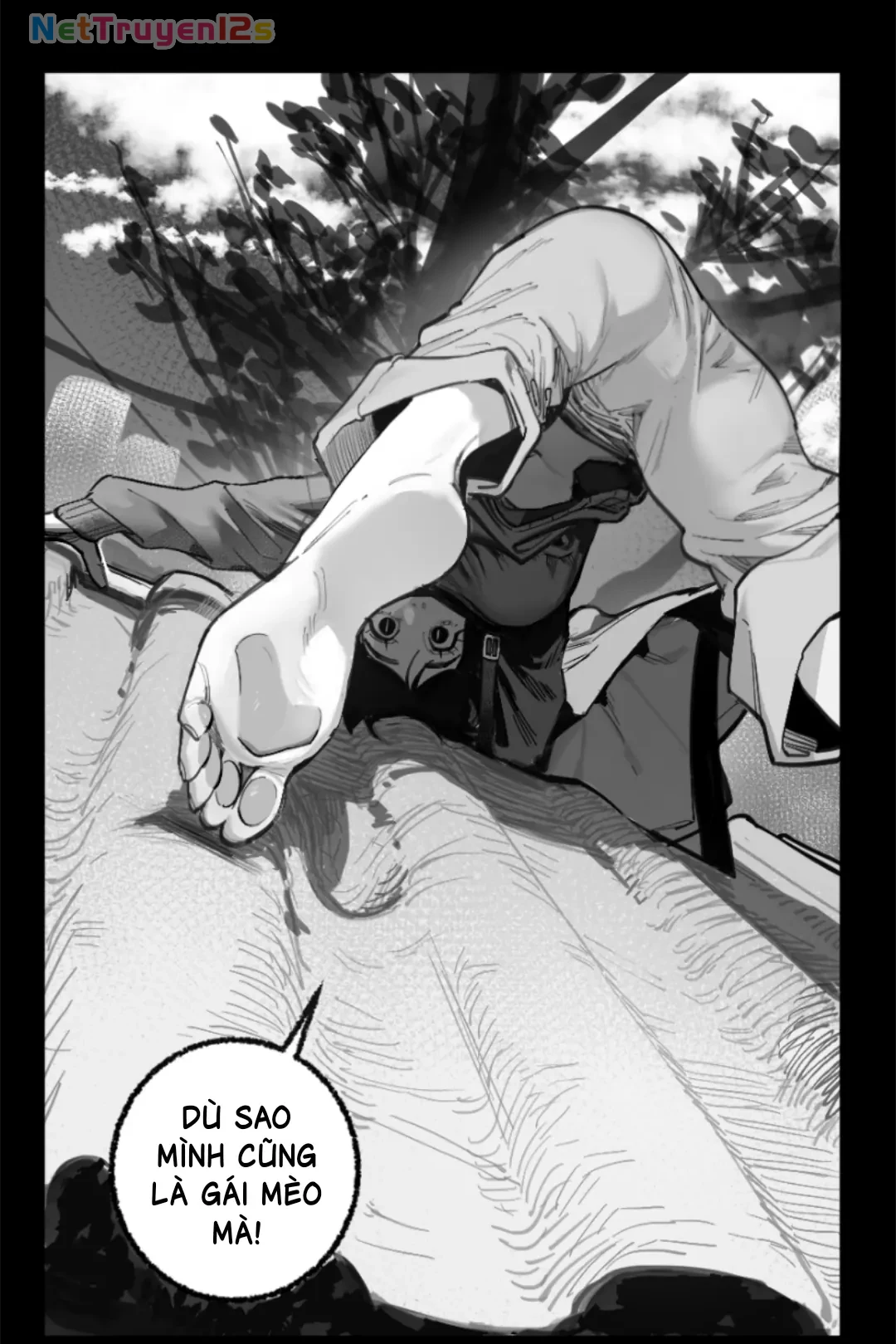 Người và Mèo Chapter  5 - 8