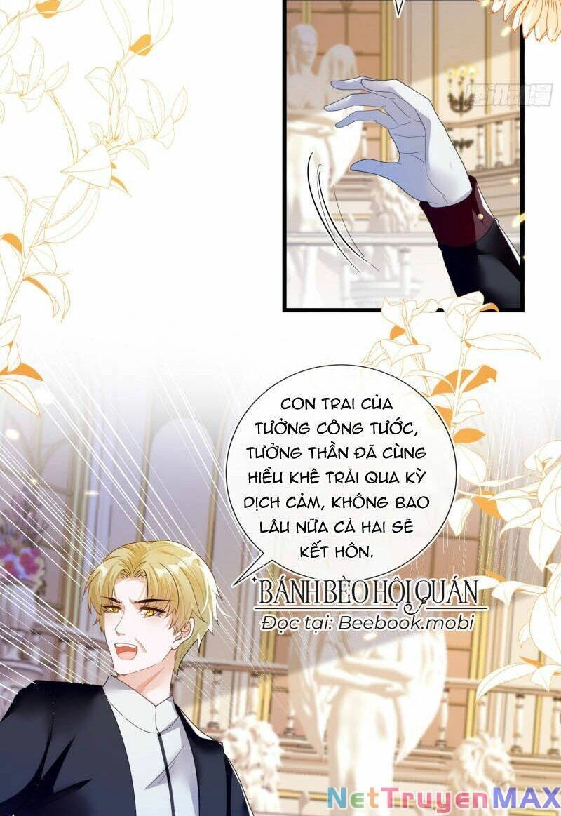 Vừa Từ Hôn Đã Bị Hồ Ly Lừa Vào Cục Dân Chính Chapter 1 - 12