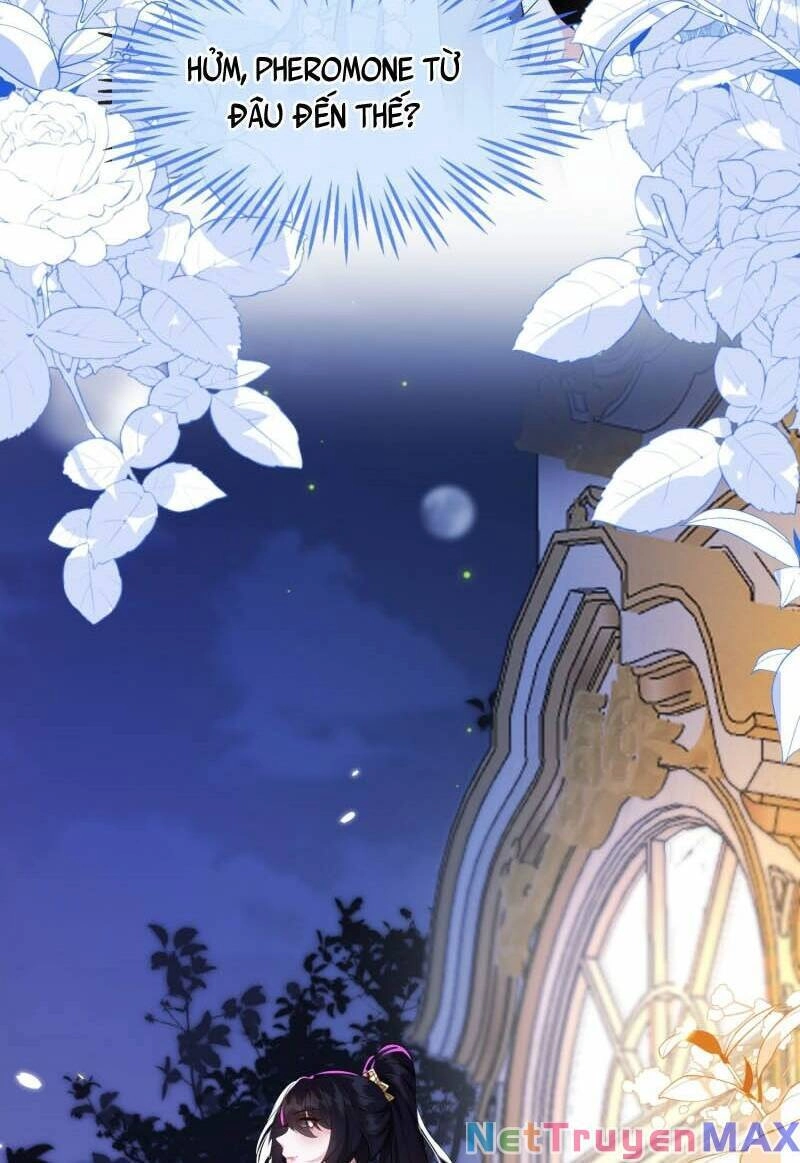 Vừa Từ Hôn Đã Bị Hồ Ly Lừa Vào Cục Dân Chính Chapter 1 - 19