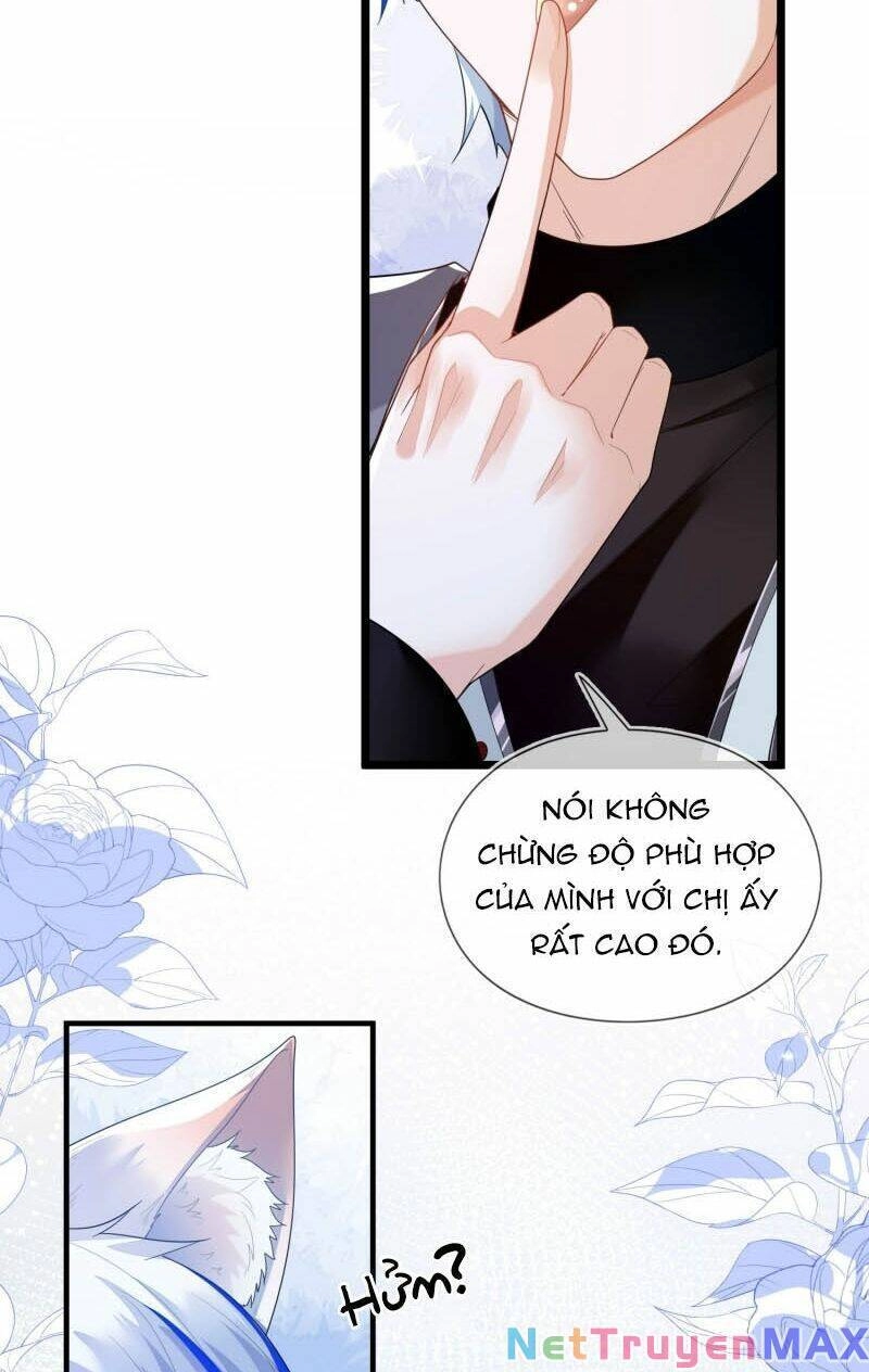 Vừa Từ Hôn Đã Bị Hồ Ly Lừa Vào Cục Dân Chính Chapter 1 - 39