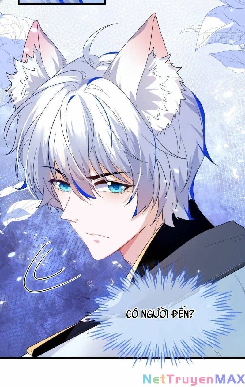 Vừa Từ Hôn Đã Bị Hồ Ly Lừa Vào Cục Dân Chính Chapter 1 - 40