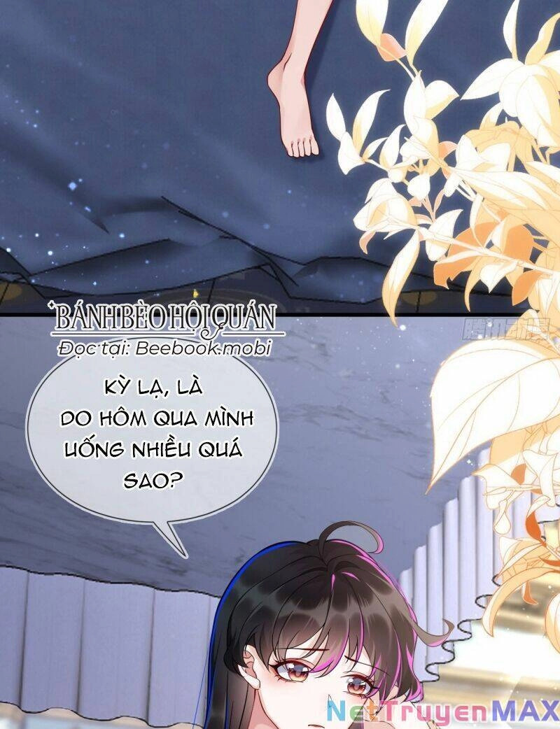 Vừa Từ Hôn Đã Bị Hồ Ly Lừa Vào Cục Dân Chính Chapter 2 - 3