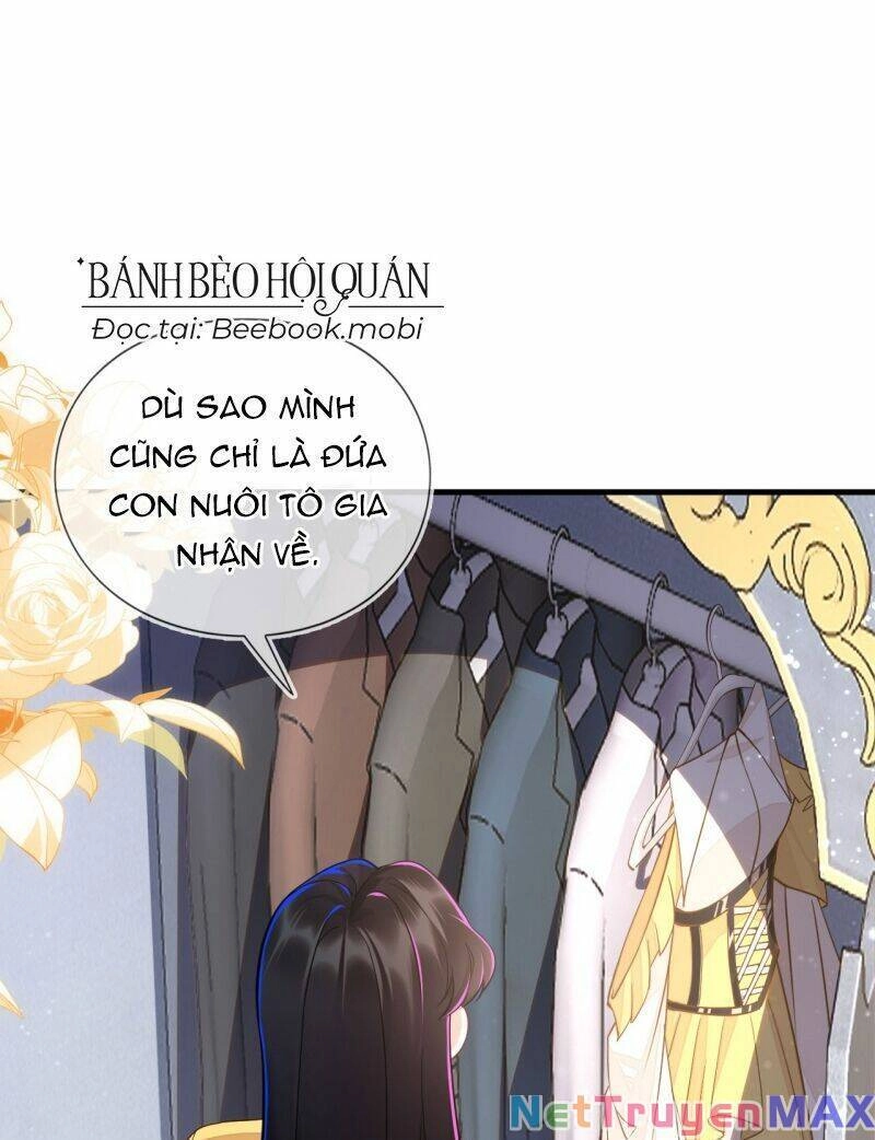 Vừa Từ Hôn Đã Bị Hồ Ly Lừa Vào Cục Dân Chính Chapter 2 - 9