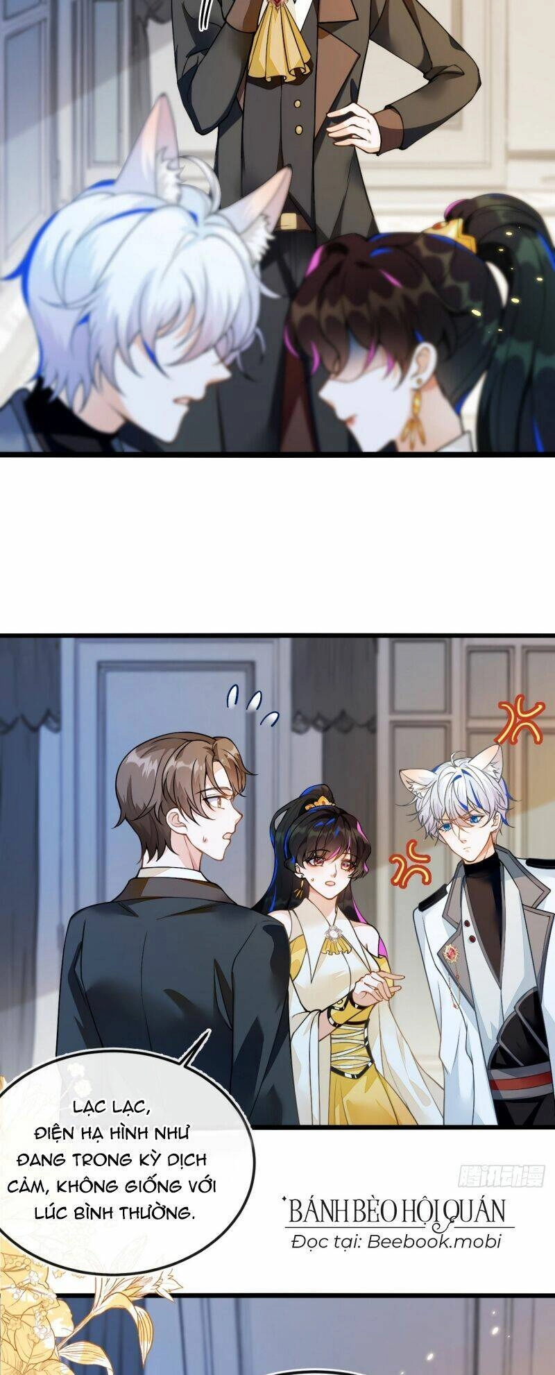 Vừa Từ Hôn Đã Bị Hồ Ly Lừa Vào Cục Dân Chính Chapter 5 - 15