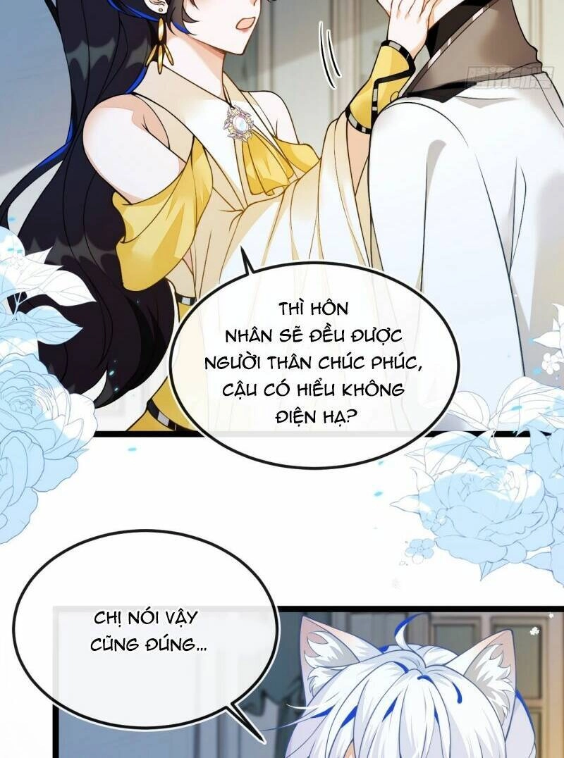 Vừa Từ Hôn Đã Bị Hồ Ly Lừa Vào Cục Dân Chính Chapter 5 - 24