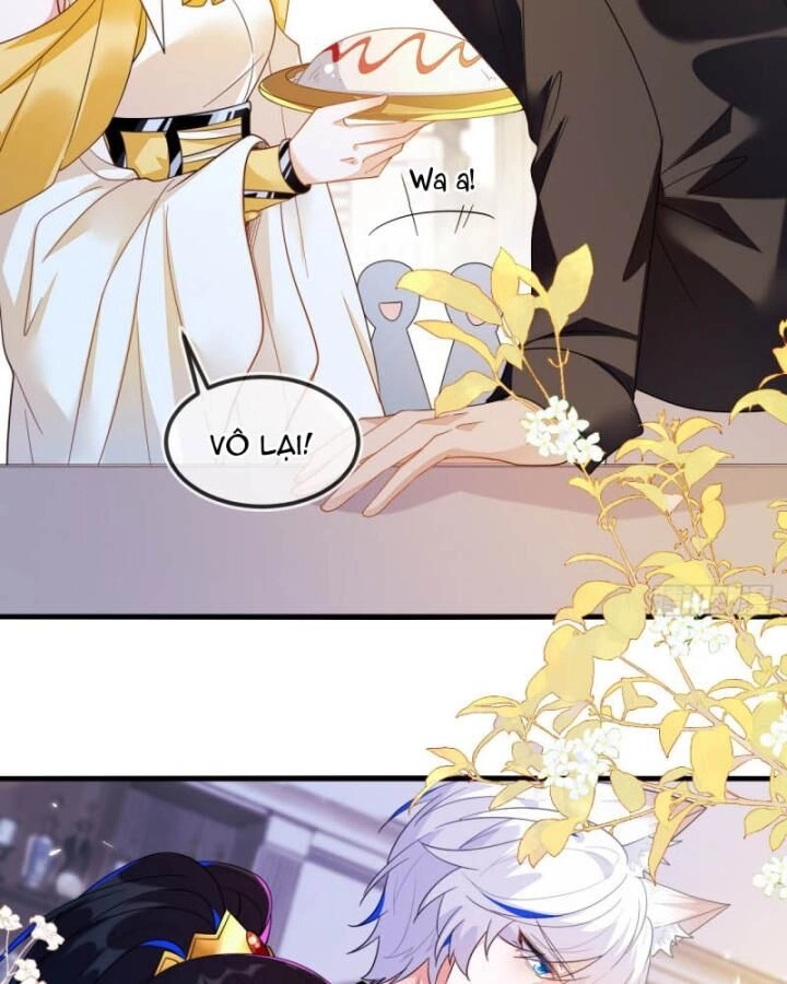 Vừa Từ Hôn Đã Bị Hồ Ly Lừa Vào Cục Dân Chính Chapter 8 - 20