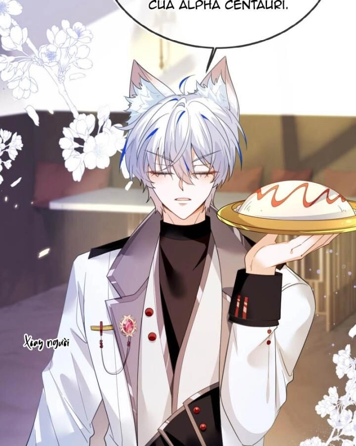 Vừa Từ Hôn Đã Bị Hồ Ly Lừa Vào Cục Dân Chính Chapter 8 - 27