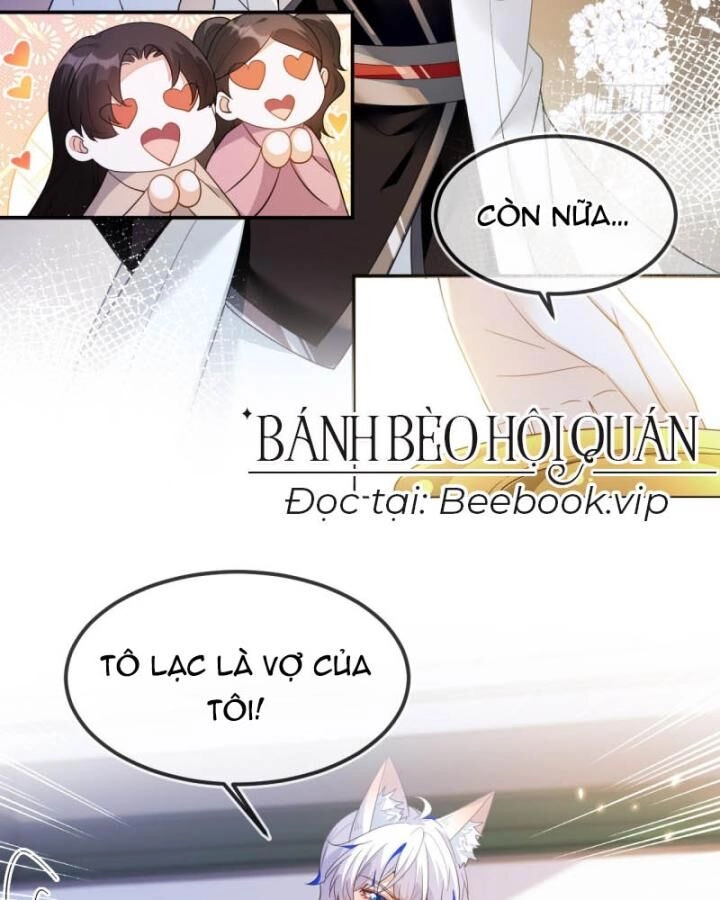 Vừa Từ Hôn Đã Bị Hồ Ly Lừa Vào Cục Dân Chính Chapter 8 - 28