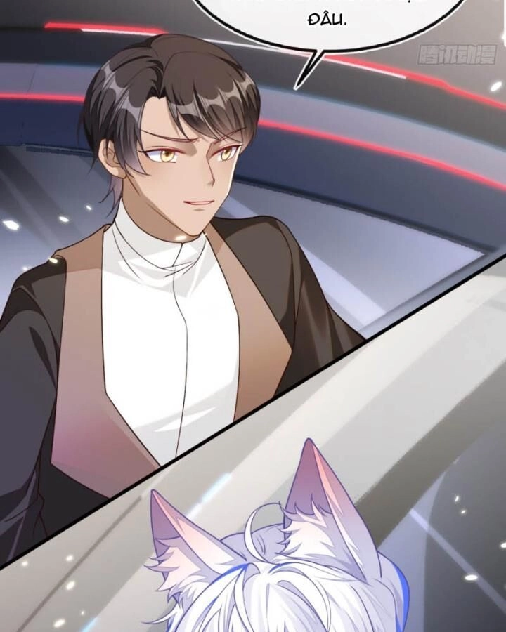 Vừa Từ Hôn Đã Bị Hồ Ly Lừa Vào Cục Dân Chính Chapter 8 - 46