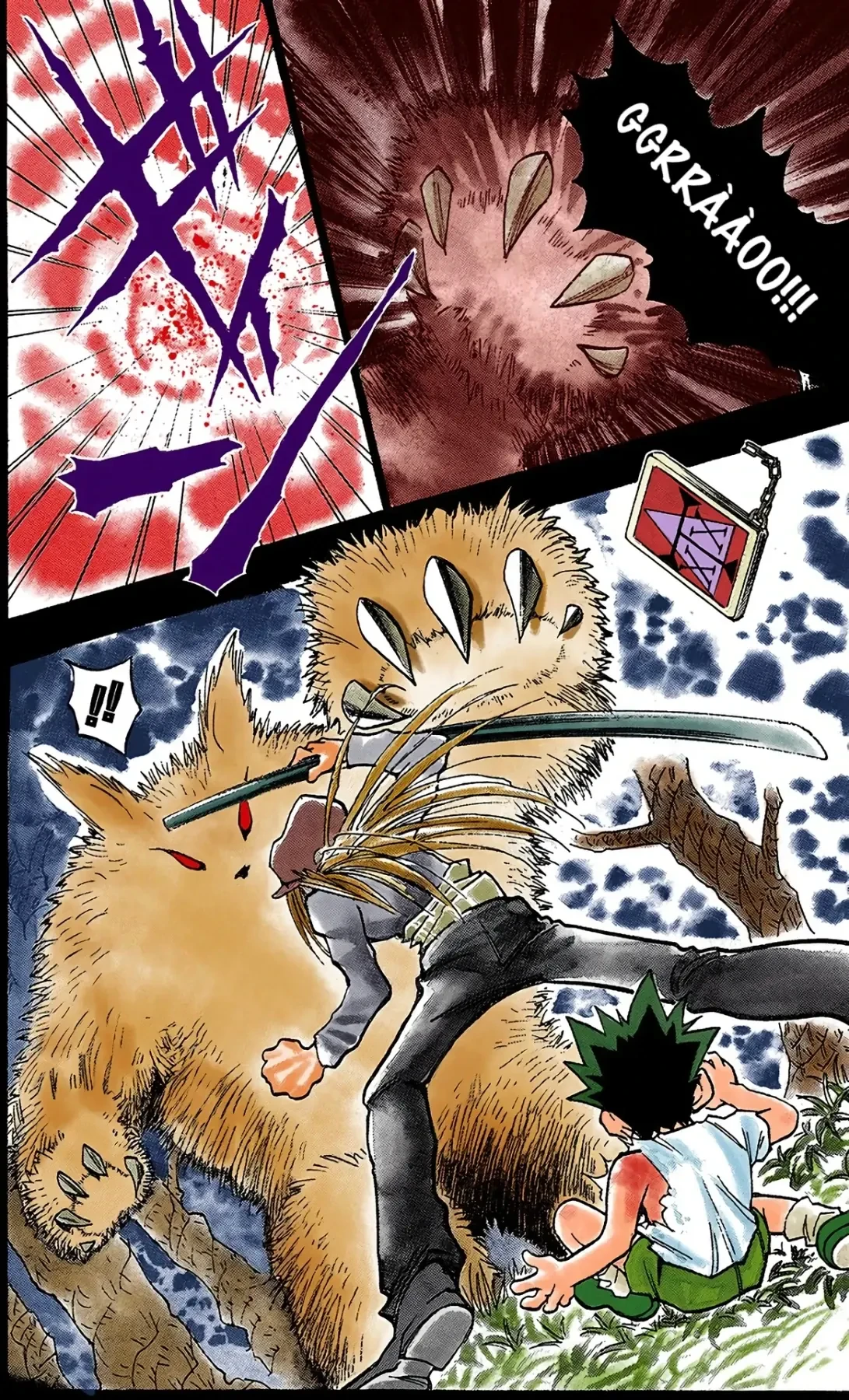 Hunter x Hunter (Digital Colored) Chapter  1 - 17