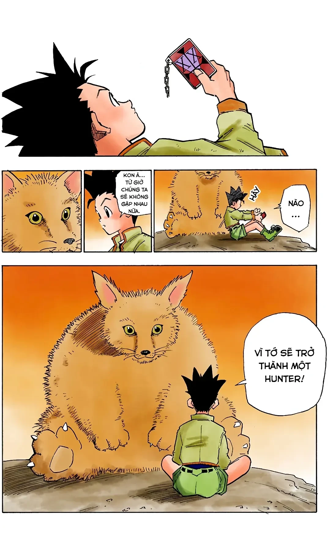 Hunter x Hunter (Digital Colored) Chapter  1 - 25