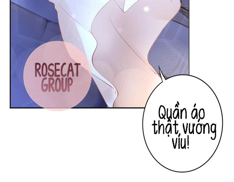 Quyền Thiểu, Nhĩ Lão Bà Yêu Bào Liễu Chapter 1 - 53