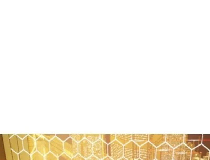 Liên Kết Dị Thường Chapter  1 - 329