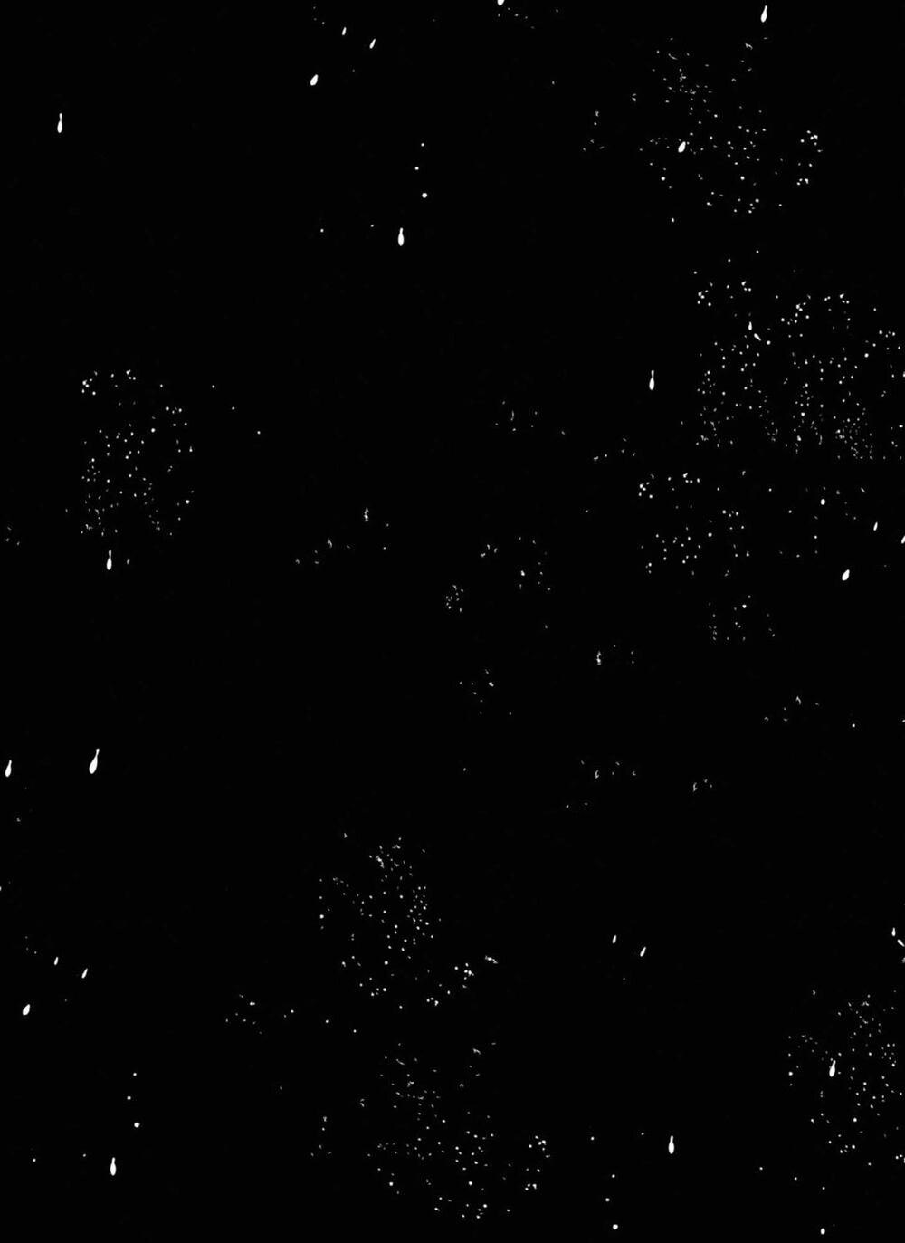 Itoshi No Ko, Charlotte Chapter 17.5 - 9