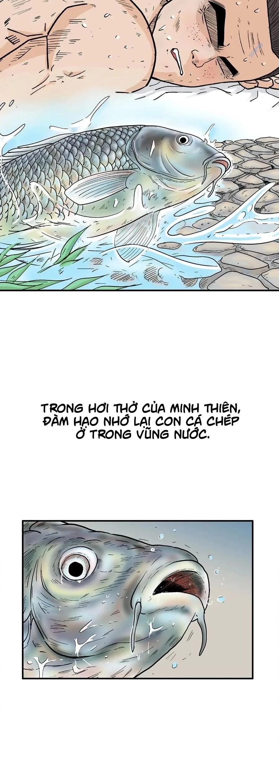 Hỏa Sơn Quyền Chapter 161 - 12