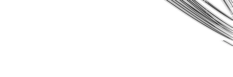 Ta Có Chín Nữ Đồ Đệ Chapter 61 - 43