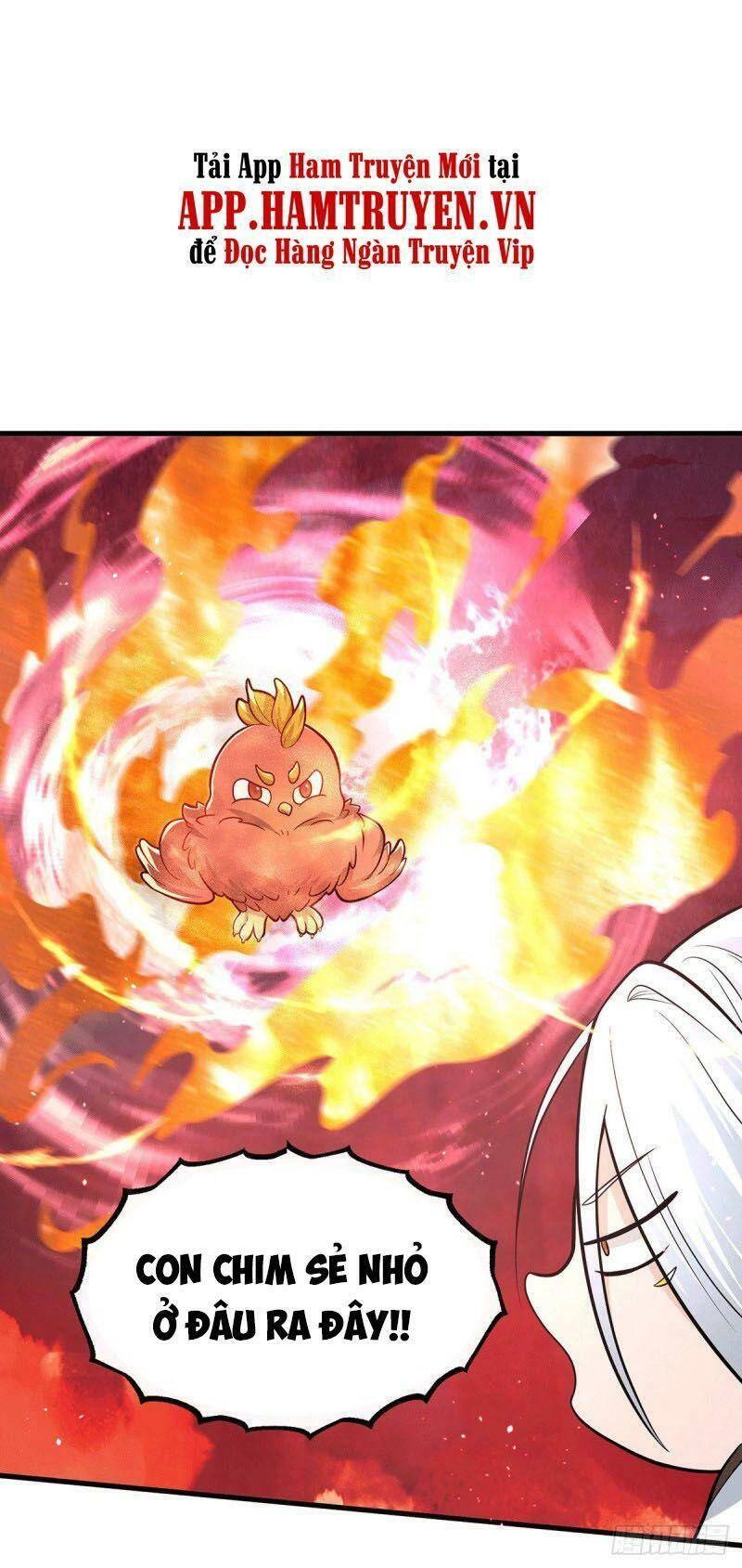 Ta Có Chín Nữ Đồ Đệ Chapter 181 - 13