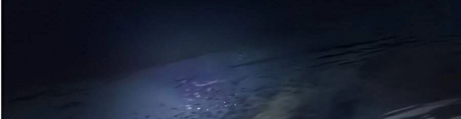 Nhân Trùng Đại Chiến Chapter 39 - 118