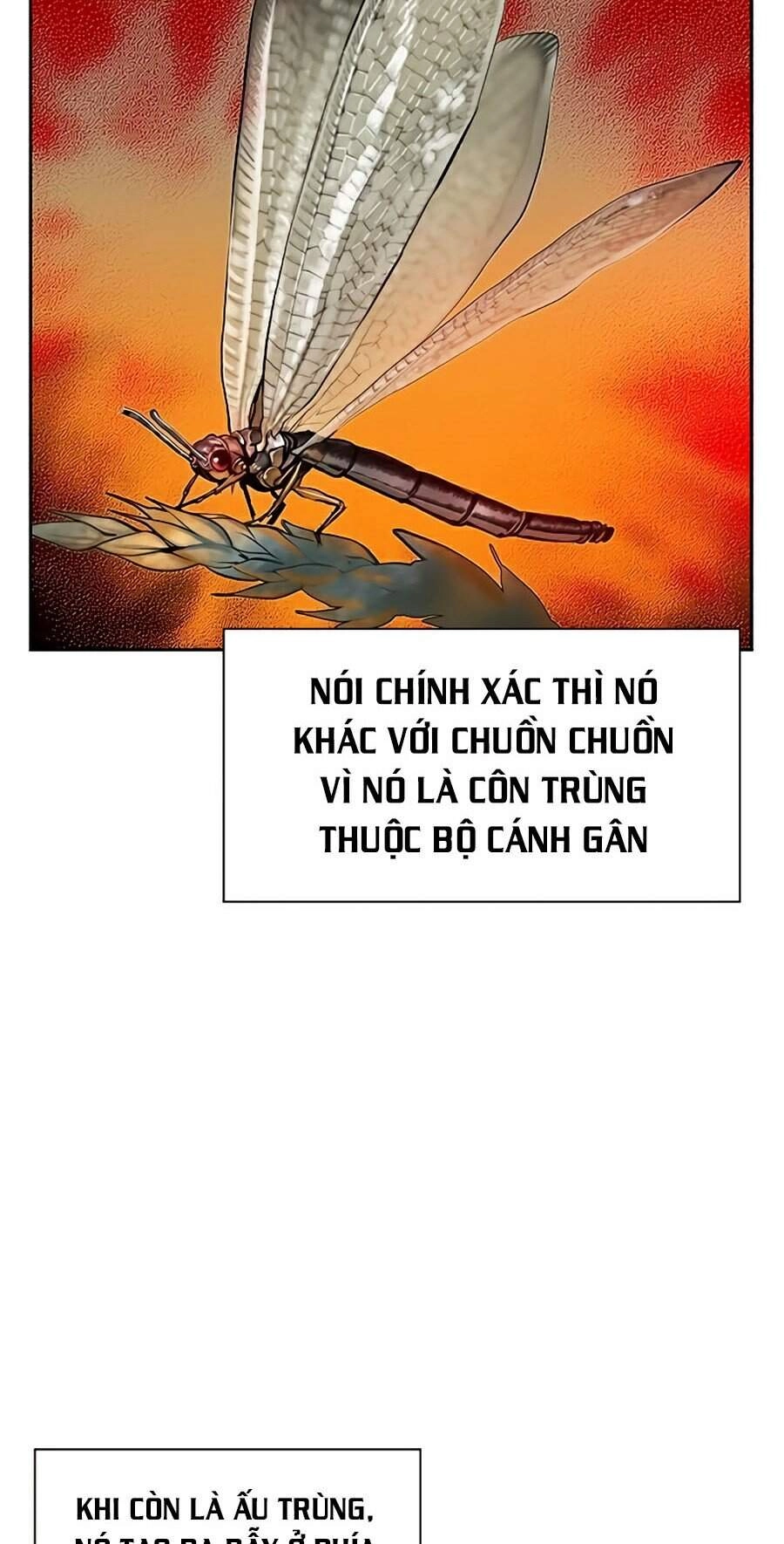 Nhân Trùng Đại Chiến Chapter 41 - 77