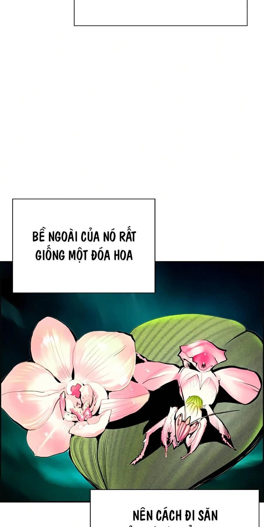 Nhân Trùng Đại Chiến Chapter 57 - 4