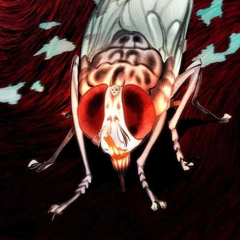 Nhân Trùng Đại Chiến Chapter 163 - 181