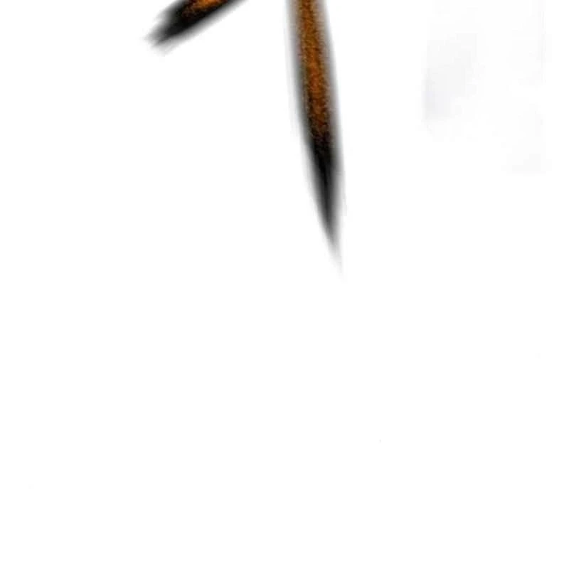 Nhân Trùng Đại Chiến Chapter 164 - 164