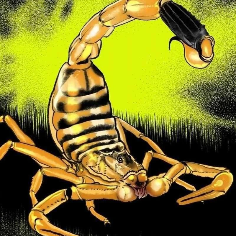 Nhân Trùng Đại Chiến Chapter 164 - 201