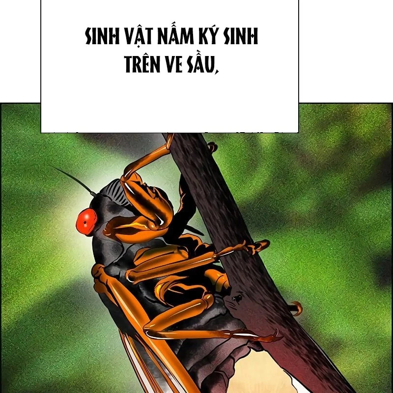 Nhân Trùng Đại Chiến Chapter 169 - 92