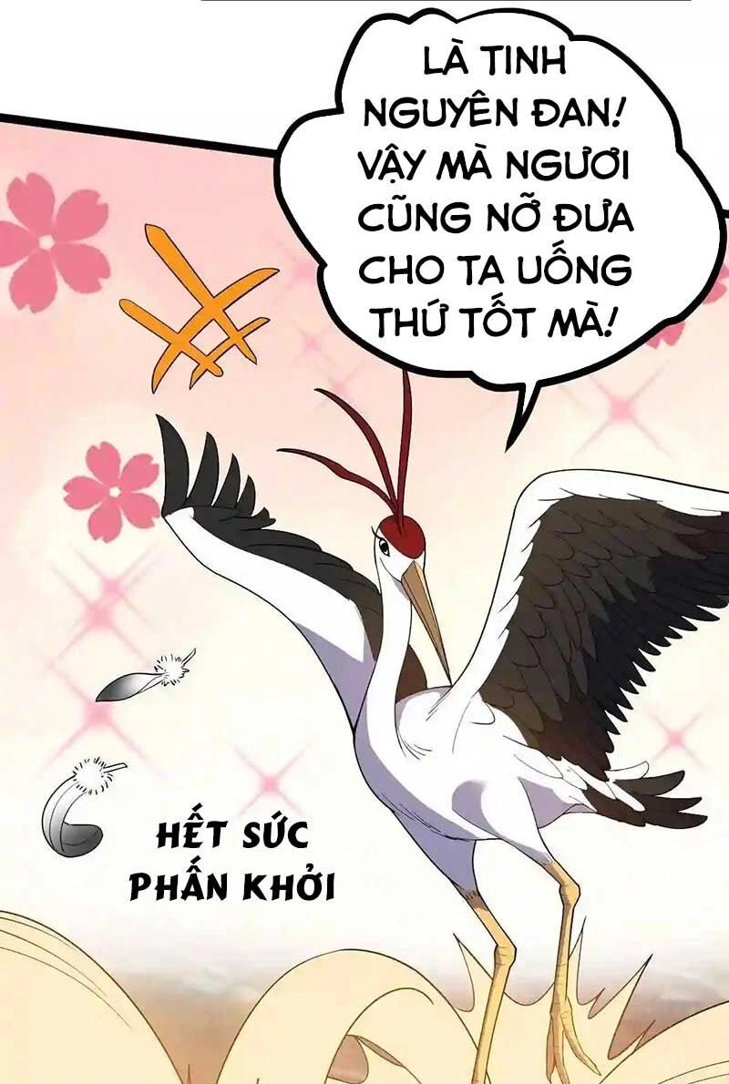 Vĩnh Sinh Chapter 41 - 37